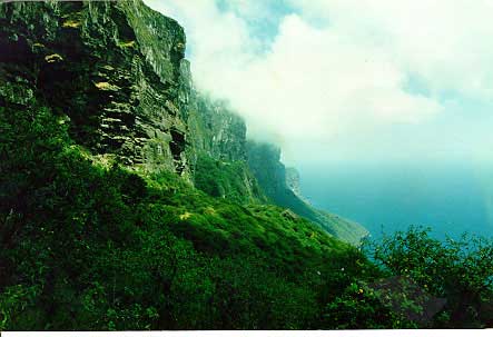 dhul.jpg